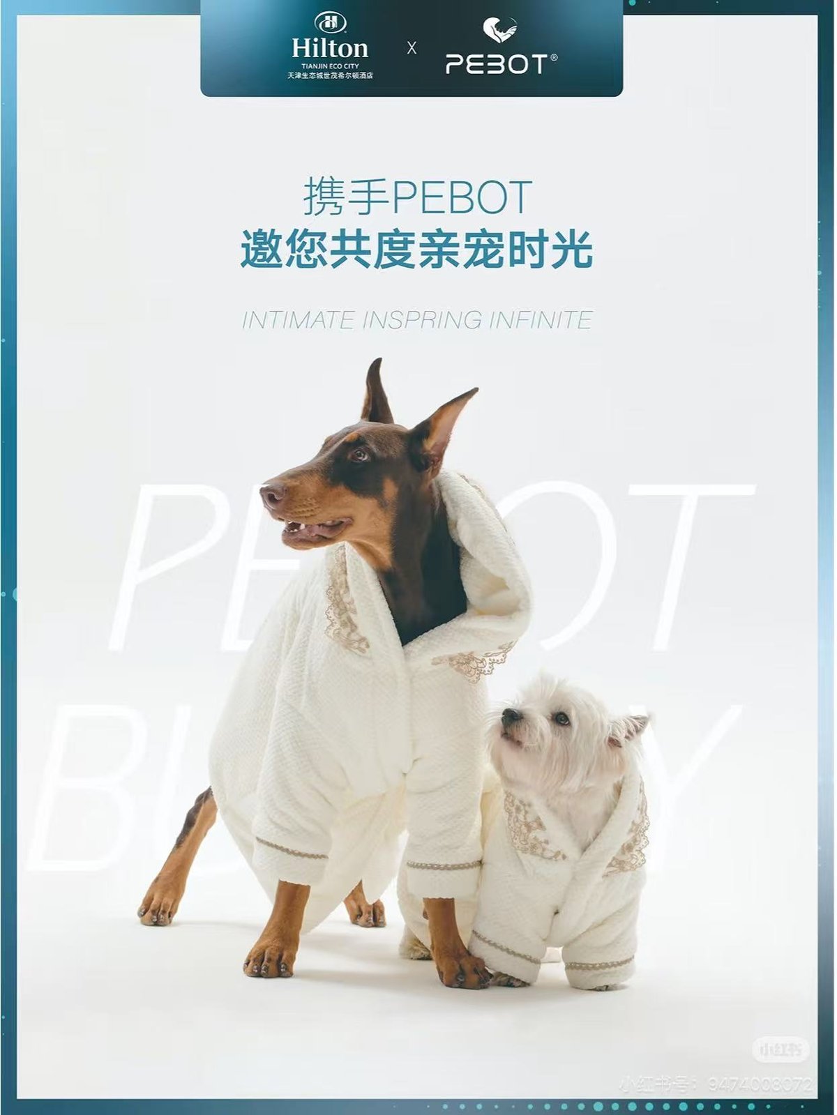 PEBOT项目图